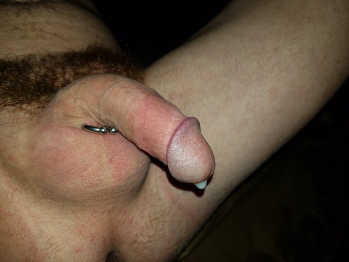 Peter Swiss tweet media