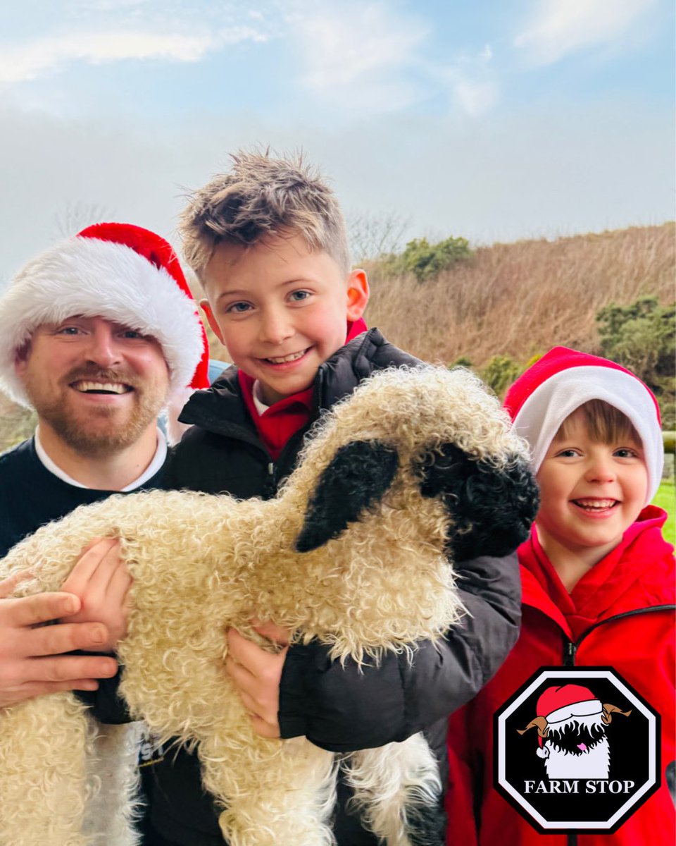 FarmStopABZ's tweet photo. 🎅🏻😍 🐑 MARY THE LAMB 🐑 😍🎅🏻
Only 16 days until Christmas❣️🎉
🎁 ⭐️ Book your experience or purchase a gift voucher at: https://t.co/P5FhKguN1t ⭐️ 🎁
#FarmStopAberdeenshire #FamilyFarm #FarmExperience #Christmas #ChristmasMagic #SantasGrotto #Lambs #ChristmasBabies https://t.co/cvW9f4hrRA