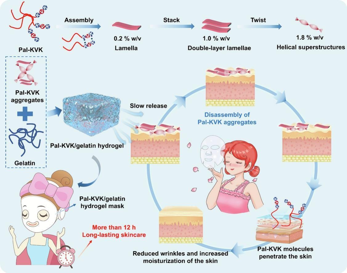 JCRnEDITORS's tweet photo. Lipidated peptide nanostructures for stabilizing hydrogels with sustained skincare bioactivity.
| Meiwen Cao @CUP1953 |
[50 days' free access]
#hydrogel #SelfAssembly #stability #skincare
https://t.co/Ry4bWJtIBZ https://t.co/esay9L8f2Q