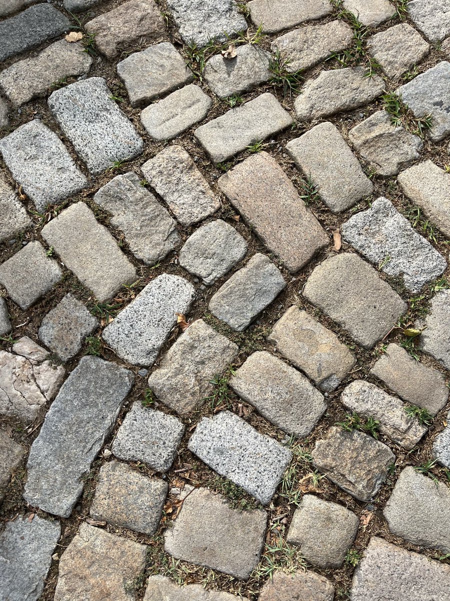 Bilgi University, Ground*