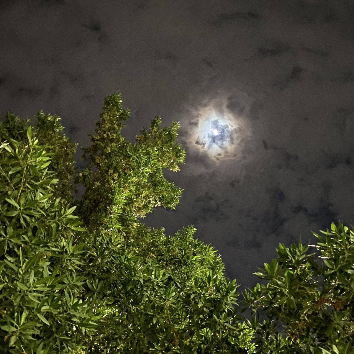 وحظي فيك أنا اصبح كبير❤️