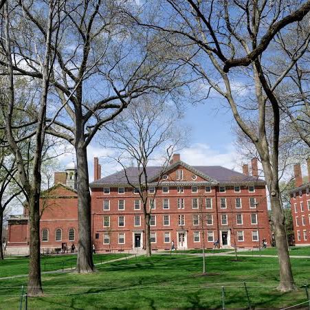 Annesinin ev temizliğine giderek okuttuğu 18 yaşındaki Sevgi, 90 bin dolarlık bursla Harvard’ı kazandı.