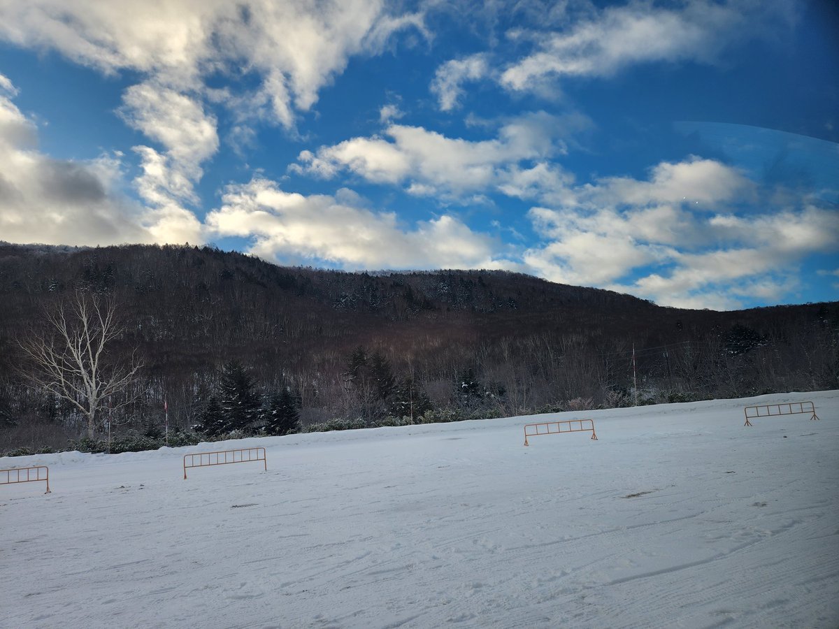 とりちゃん (@isohiyodori3) / Posts / X