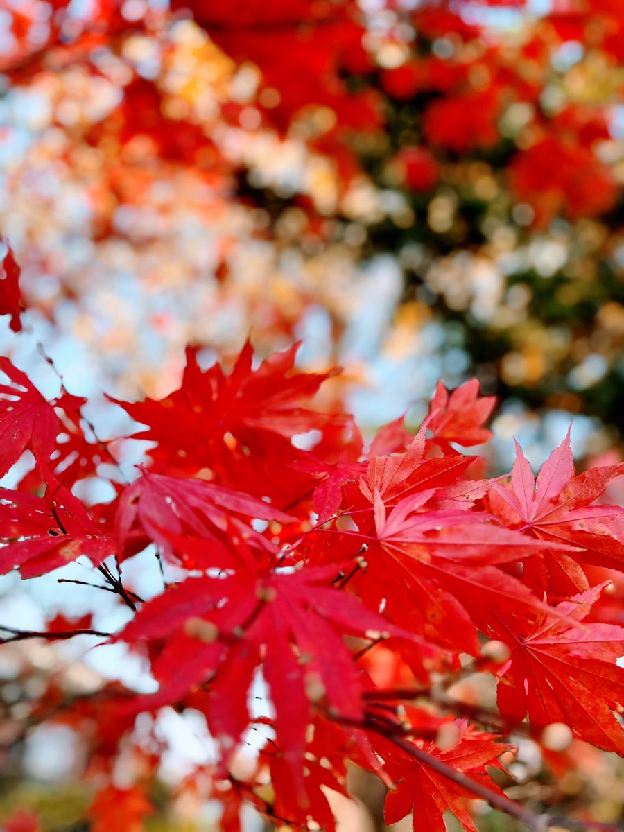 🫧くんちゃん🌷🫧 (@kunchan1869) / Posts / X