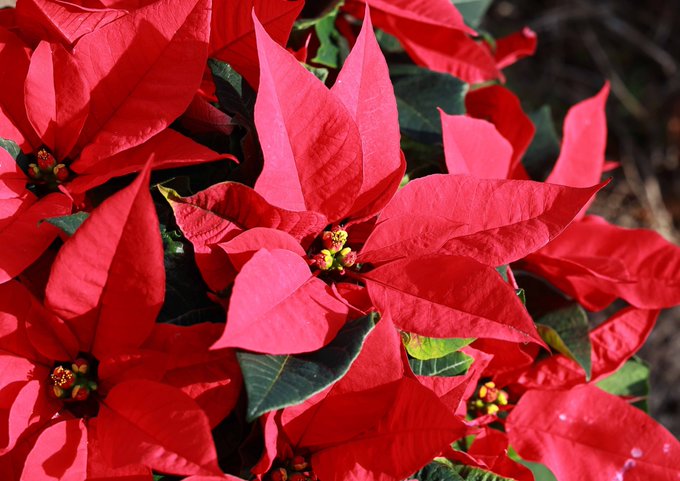 \[V}KWwRXfBAhbgR!!x:ŐV𐏎XV!!