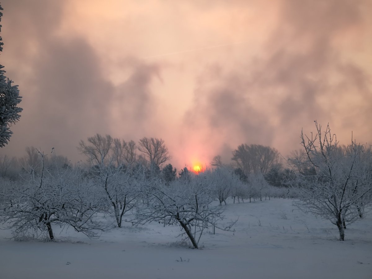 atomruncat's tweet image. Доброе утро, Сайлент Хилл 🏃‍♂️