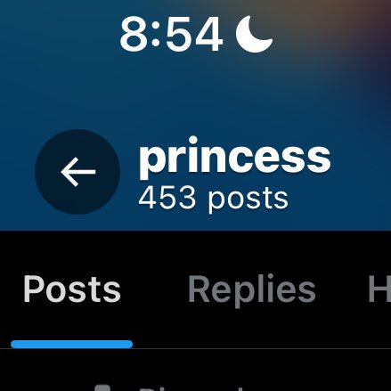 princess tweet media