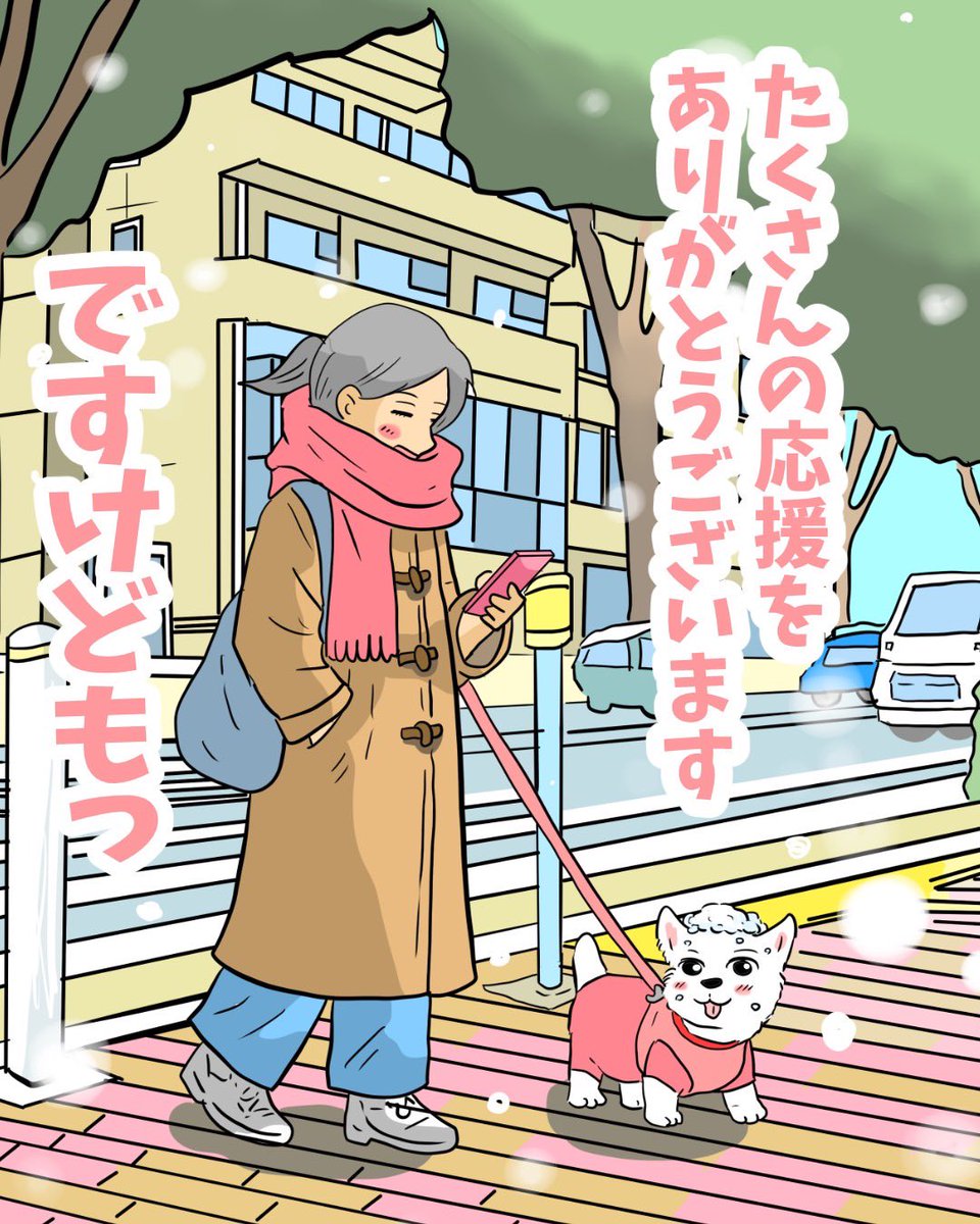 ちーちゃんですけどもっ第3巻予約発売中です❗️ (@ymc_cheezu