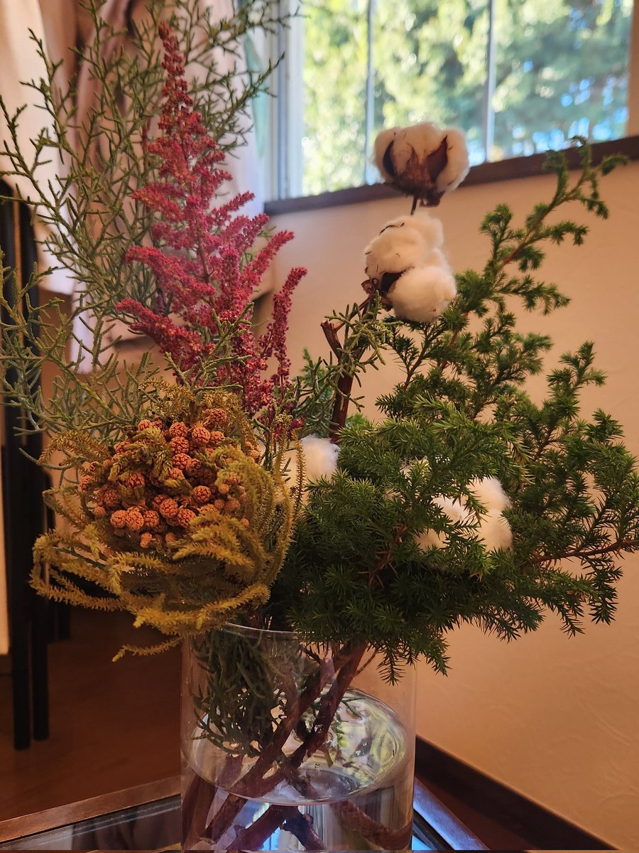 本日ラストチャンス❗️超絶希少❗️ムサノノピンクバリエガータ 新葉展開中✨️ fukutan🌼 (@fukutan6) / Posts / X