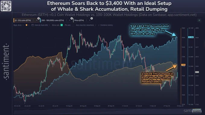 🔴COINTELGRAPH: "Balzo di Ethereum: I grandi investitori accumulano 934.240 ETH mentre i piccoli vendono, portando il prezzo a 3.400 dollari"