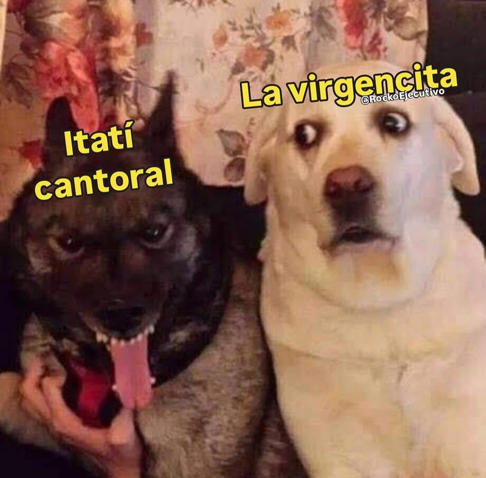 Nuria tweet media