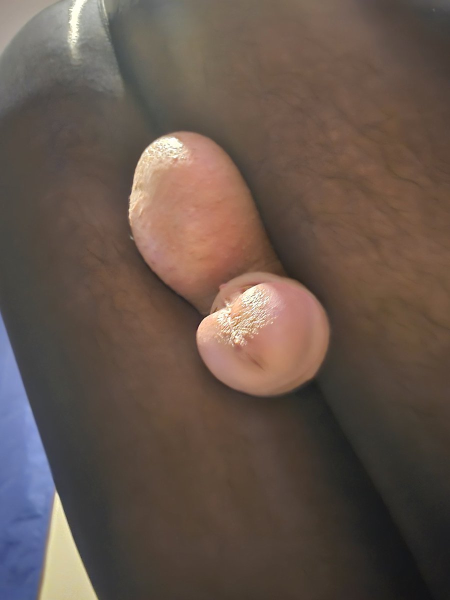 Qro_lm (@qro_lm) on Twitter photo 