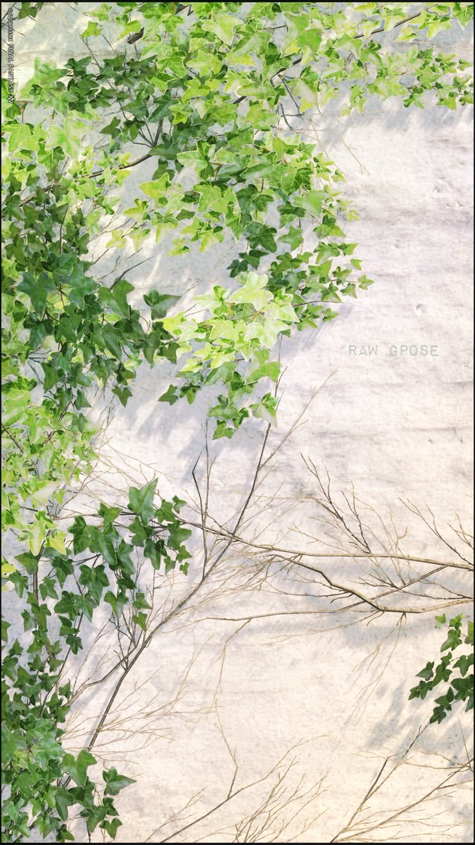 #FF14風景 #よりみち散歩　#RawGpose