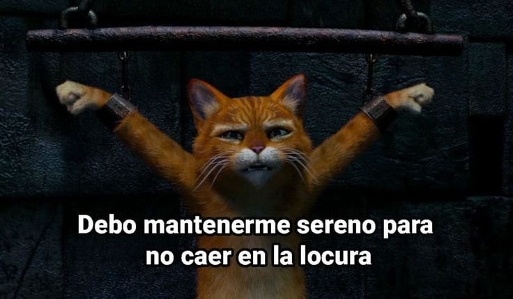 elBlogdeLES's tweet image. Quiero tener la autoconfianza que tienen las señoras que diagnostican herpes zóster (era vaculitis) y recetan tratamientos en los grupos de apoyo para pacientes (está mal indicado) 🙌🏻⭐️ 

Yo pongo un meme con falta de ortografía y me funan 🤣