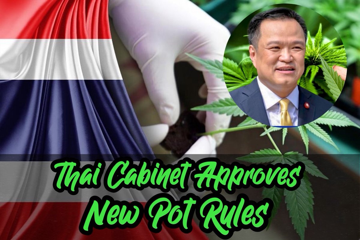 ChannelWeedTH's tweet image. Thailand Approves New Cannabis Rules: A Tougher challenge for Dispensaries”

Thailand’s Cabinet has approved a new ministerial regulation on controlled herbs, effectively reshaping how cannabis businesses must operate nationwide.

channelweedthailand.com/2025/12/10/tha…

#cannabis #weed #กัญชา