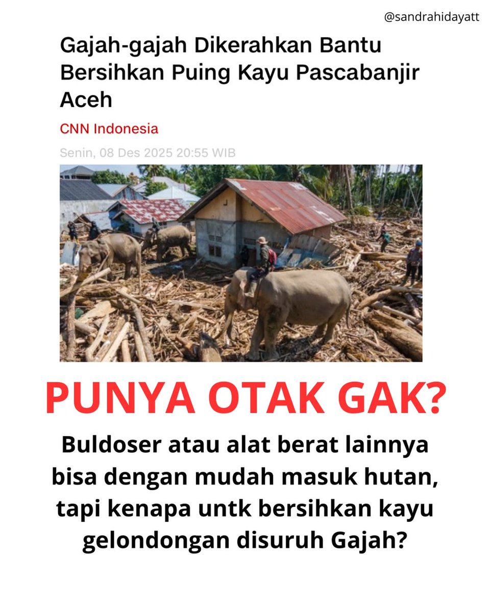 DS_yantie's tweet image. 