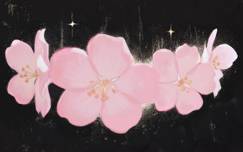 Remilla ✧ tweet media