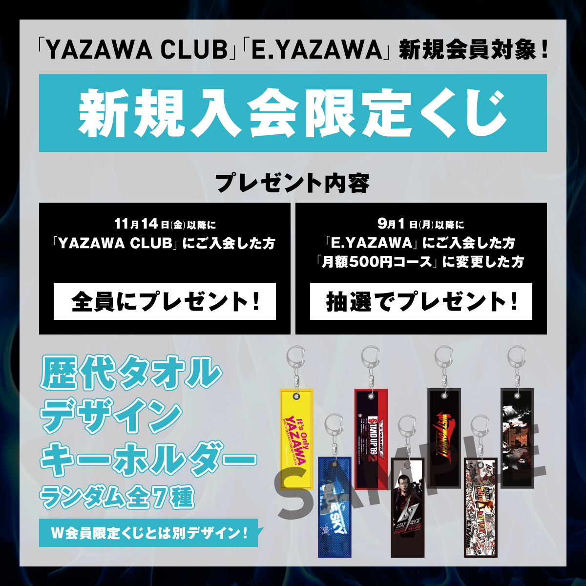 EIKICHI YAZAWA CONCERT TOUR 「Do It！YAZAWA 2025」 日本武道館公演