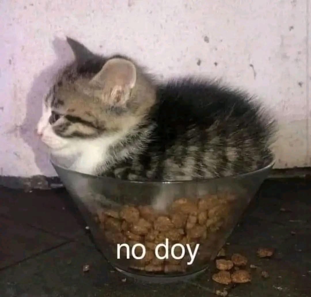 DiloConGatitoz's tweet image. Cuando estoy comiendo algo y se me quedan viendo