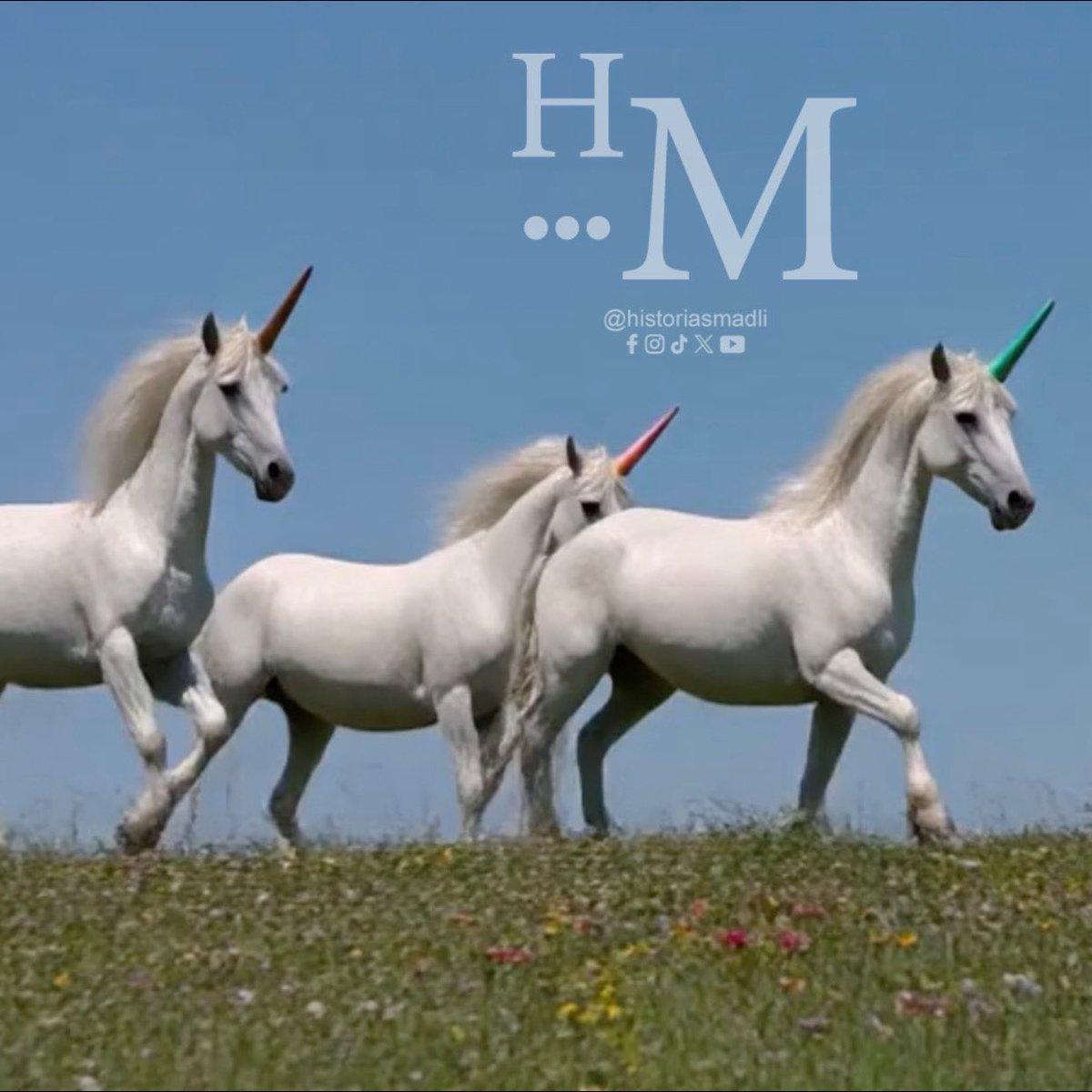 💬 ¡Nueva historia mañana! 💬

#HistoriasMADLI #Historias #Teaser