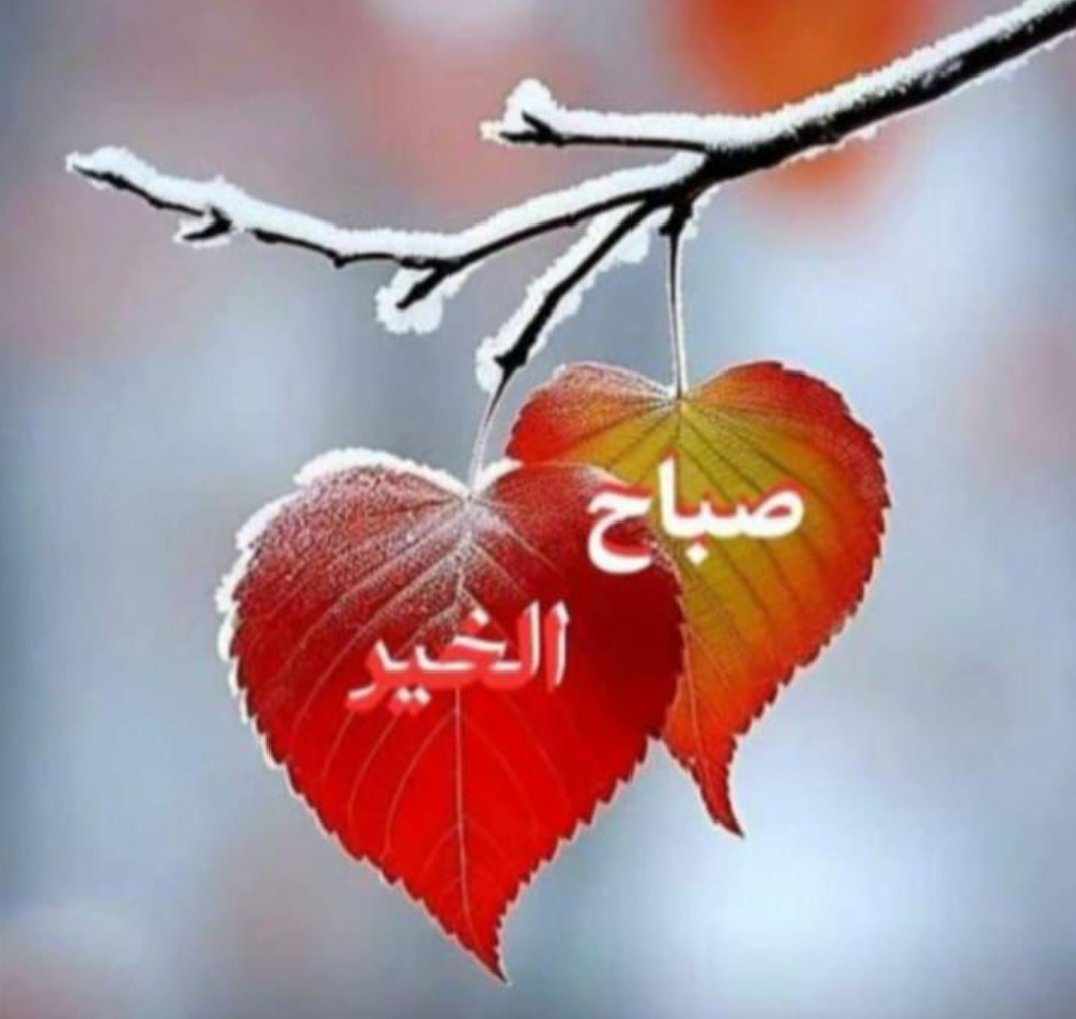 Georjass (@georjass55) on Twitter photo 