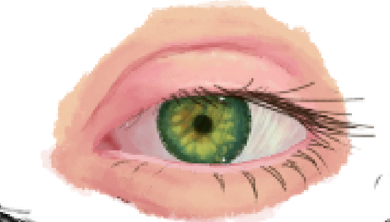 bearlystrew's tweet photo. I feel like I haven't improved much this year however, what I have improved on is realism, so here's an eye I drew in April and one I drew in October https://t.co/mkghUKJSEm