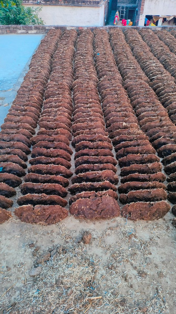 Renu Yadav tweet media