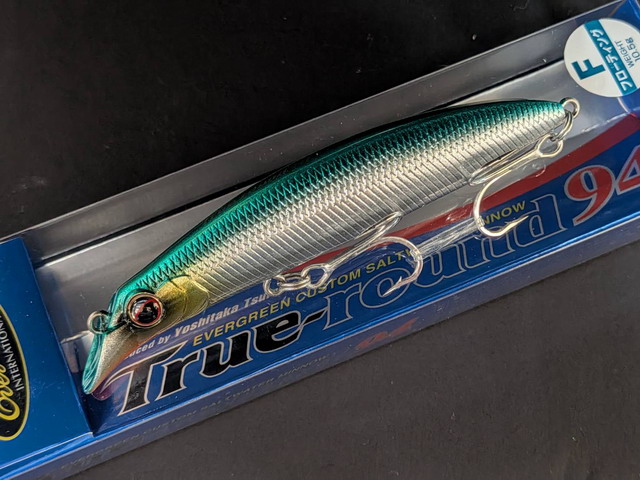 EMP サンセベリア キングフィッシャー / 左が成長イメージ SA429 EMP サンセベリア キングフィッシャー / 左が成長イメージ SA429