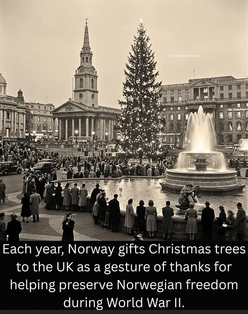 informative_Dia's tweet photo. Since 1947, Norway sends a Christmas tree to London every year : a token of appreciation for Britain’s support in WW2 https://t.co/m1AktEwAci