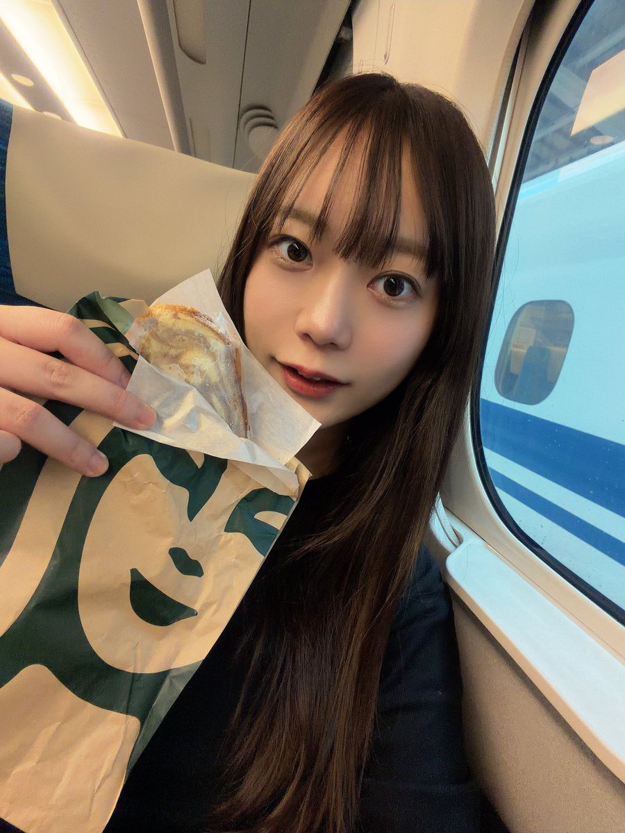 Alfie (アルフィ) #蓮燦 #SaisNest #あーちゃんまる