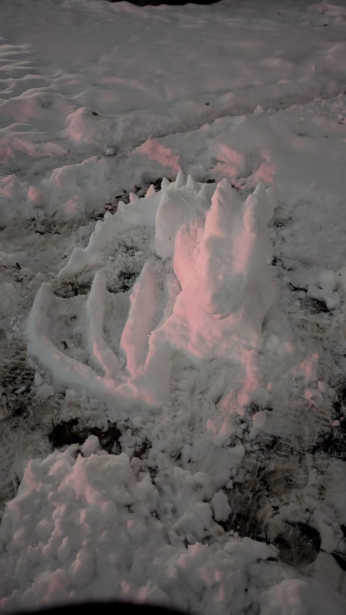 ProbablyACat1's tweet image. I made a snow derg