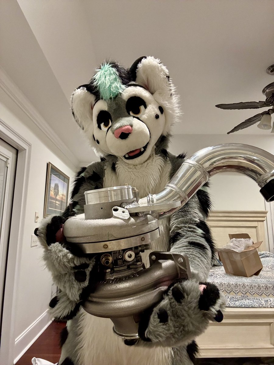 SpeedySnep tweet media