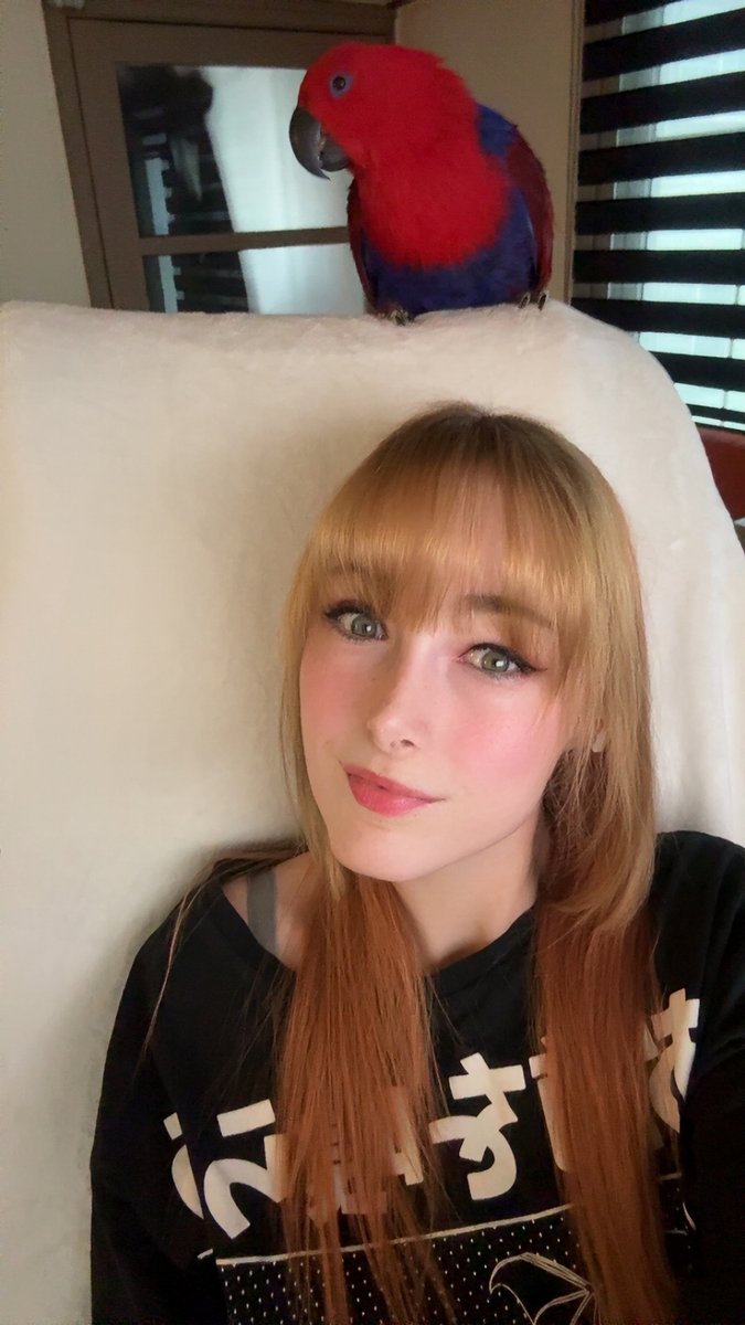 Good morning☀️, 🪩Going Live Over on 🪩- kick.com/spooky_eimi 

Come and join in on the #spookiness on #Phasmophobia 
while #dixper will on so you can mess with me in game. giving out #free crates to everyone. 

#KickStreamer #streamer #GamerLife #live