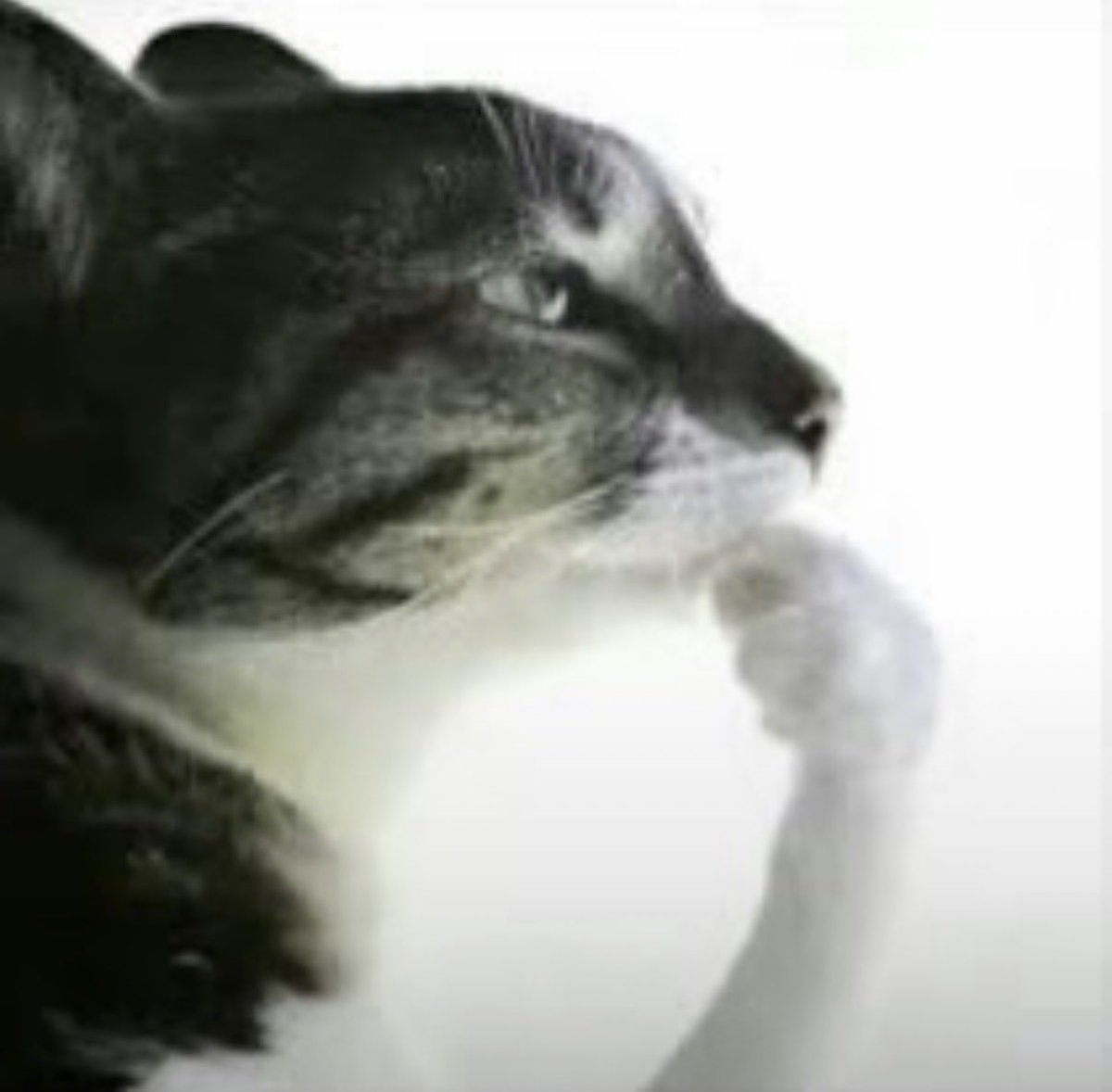 godofcabbage's tweet image. hi guys. coming out of the grave to let yall know i will be posting a cover this month. keep ur eyes peeled.

life has been hard. i hope everyone is doing well~