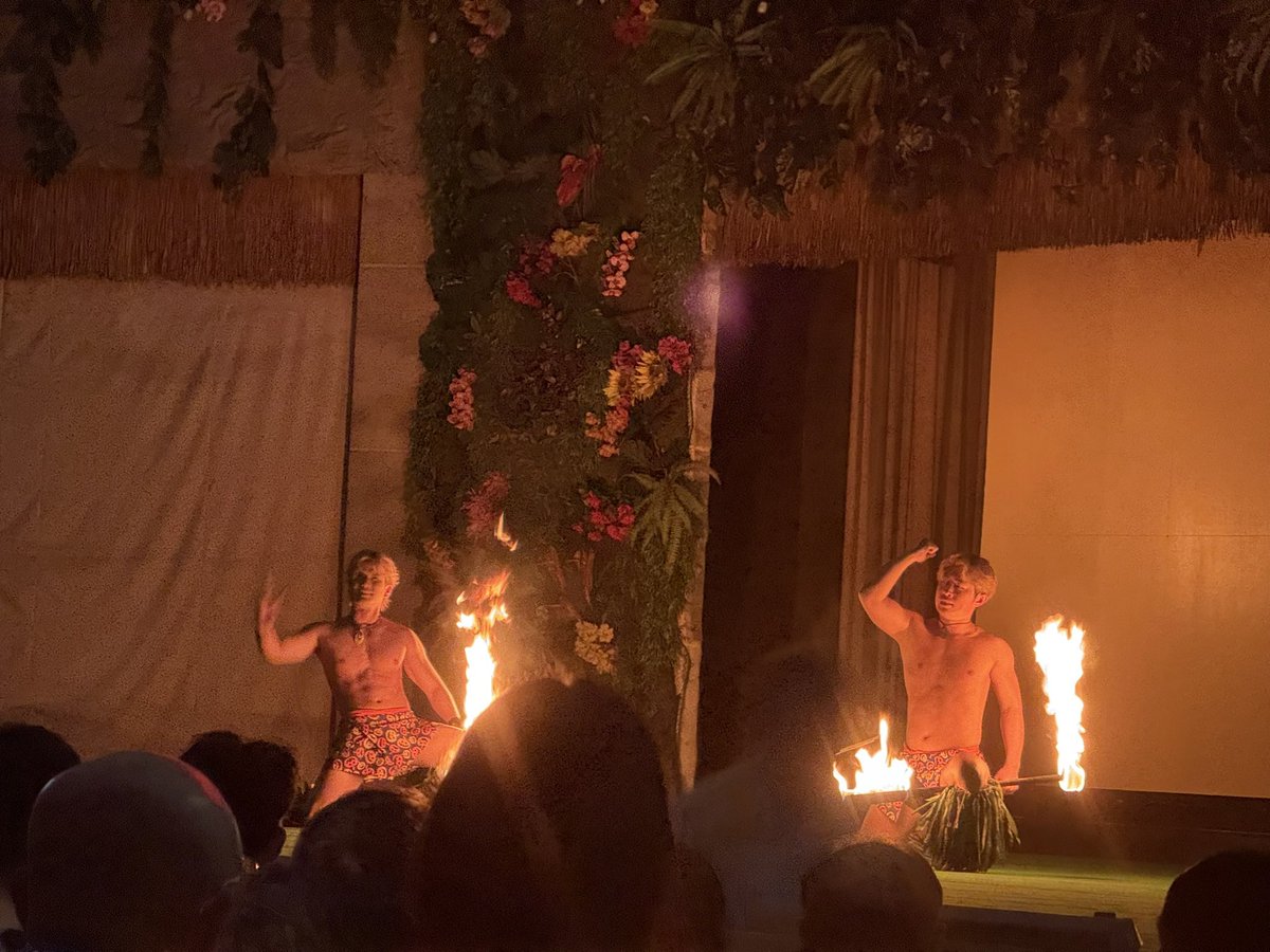 いいもんをみた