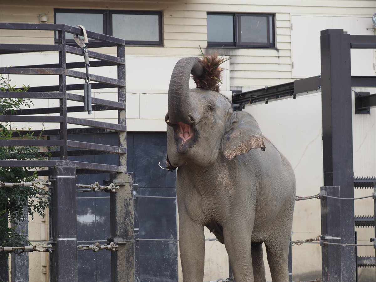 持ち運べるタイプのものと檻に固定したタイプのもの、どちらも気に入っ