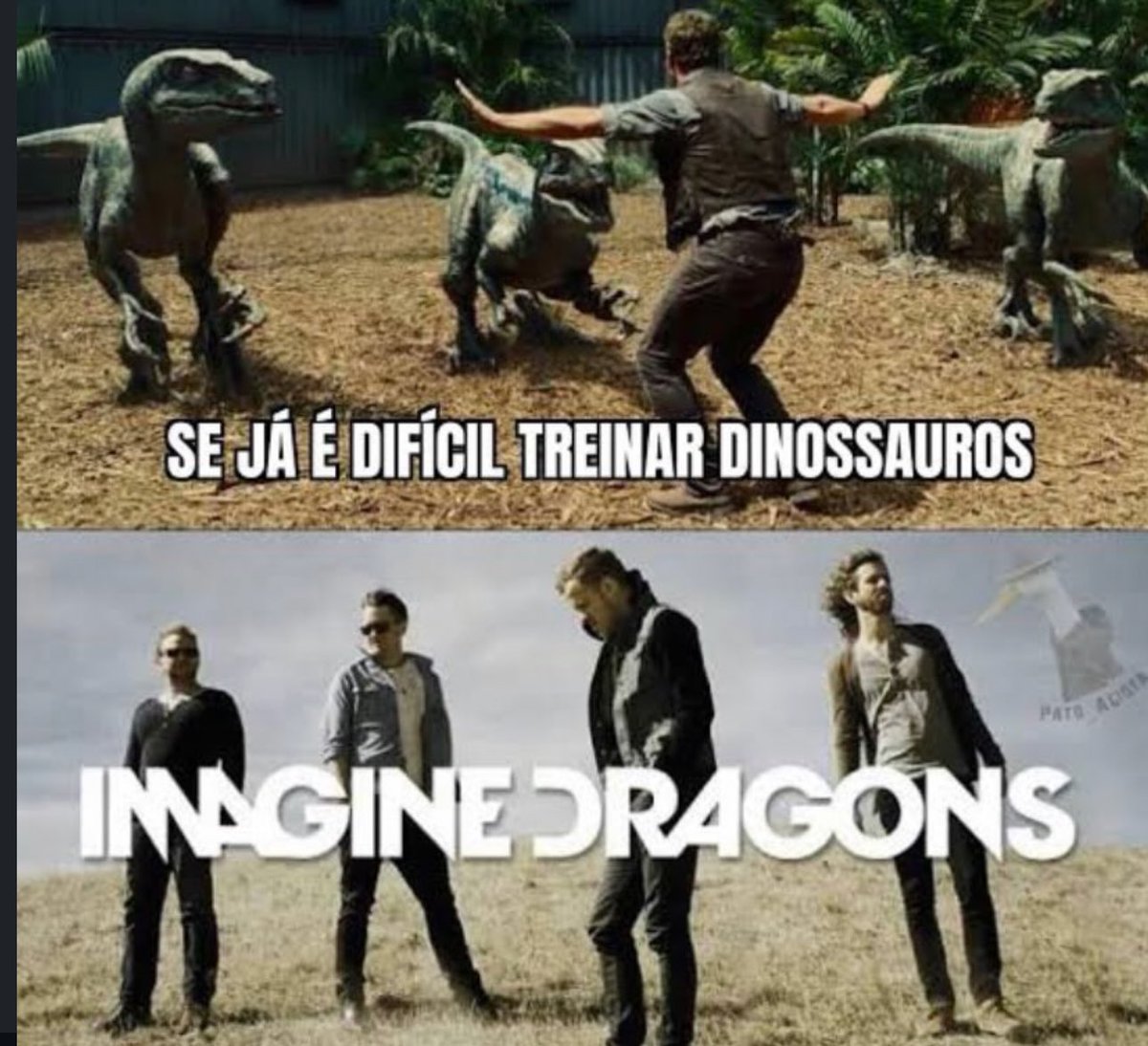 shitpostverdade's tweet image. 