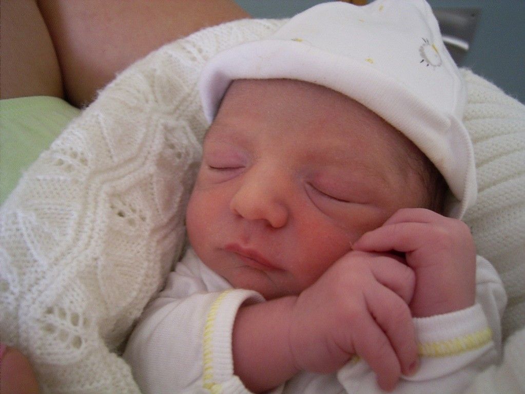 Melínoe y Macaria.

Las dos nuevas flores del reino.