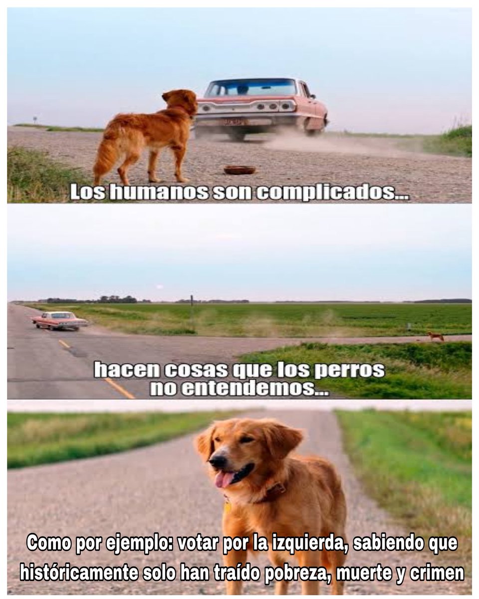 Tres razones:

Votan por ignorancia
Votan por resentimiento
Votan por odio