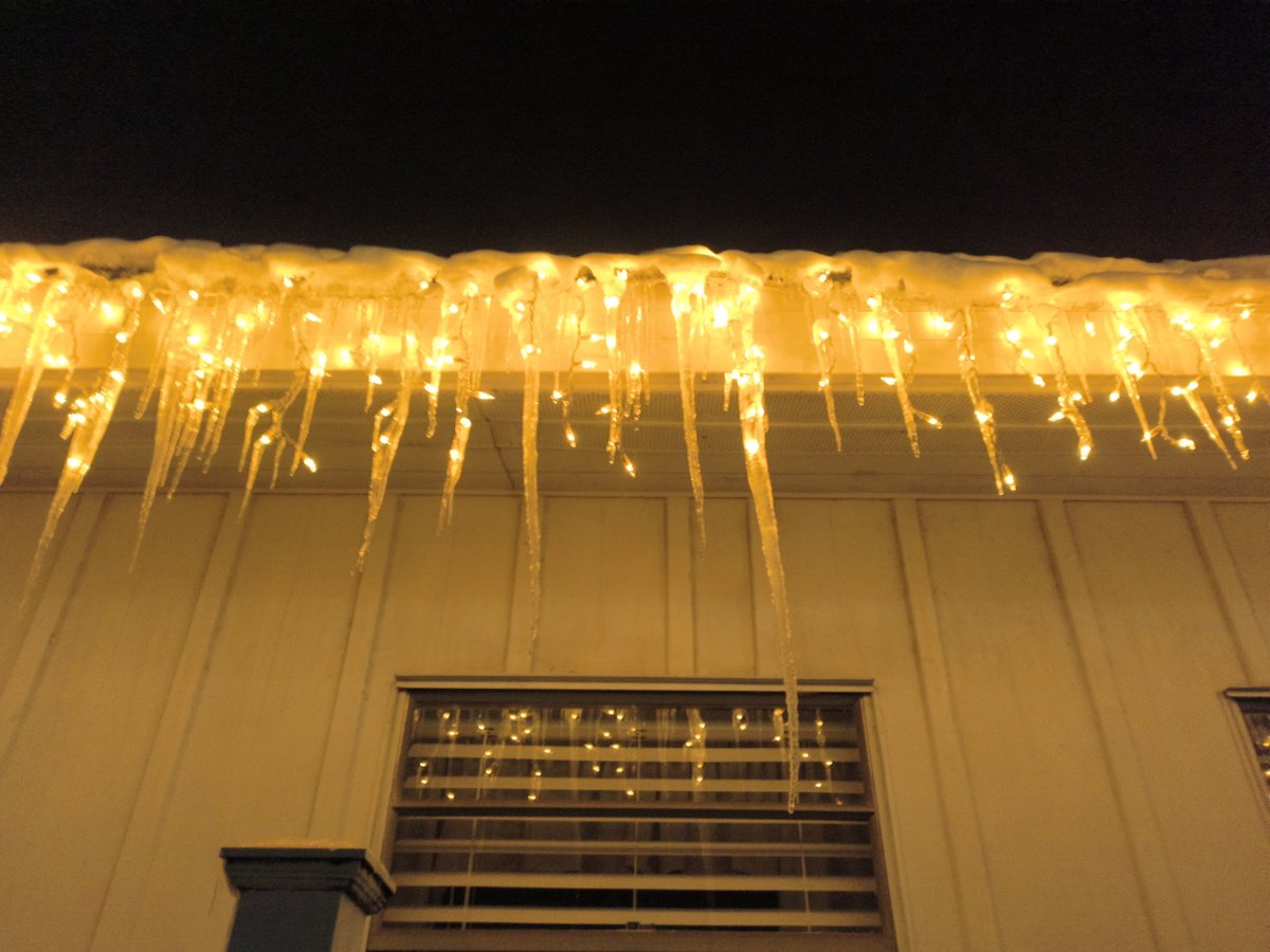 albert instein tweet media