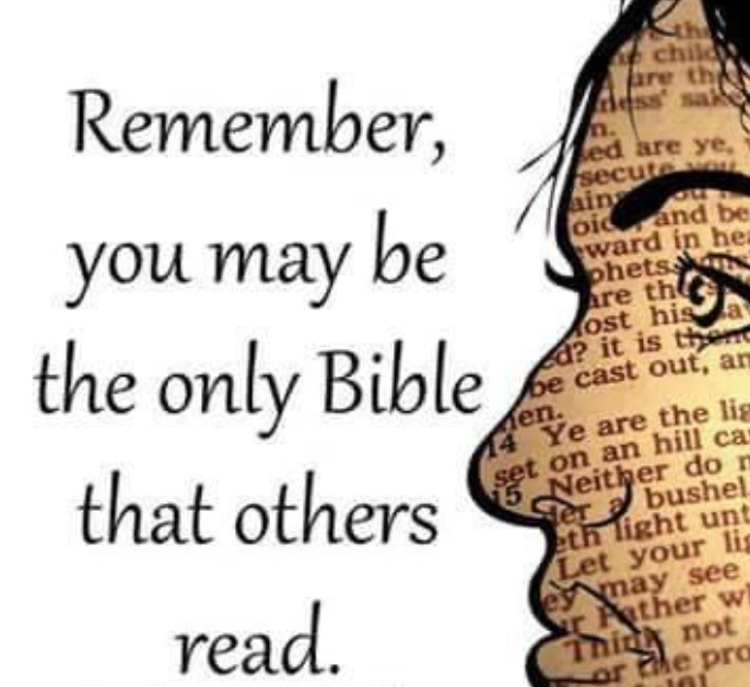 Lavender (@lavenderkiss7) on Twitter photo 