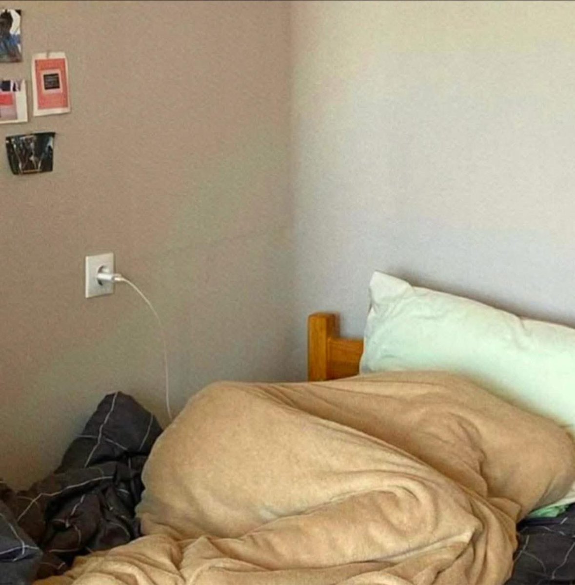 Callunc's tweet image. “What are your plans for the holidays?”

Me