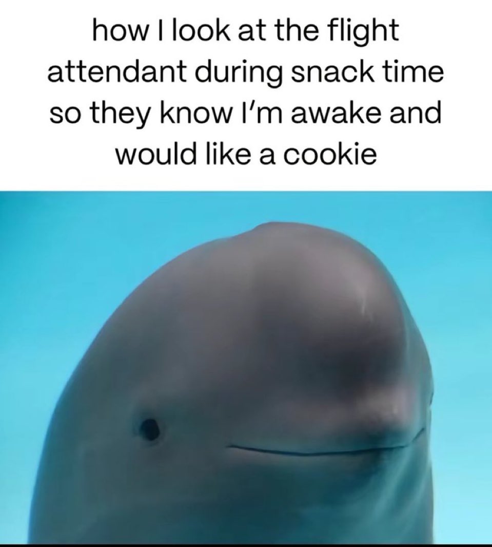 chaotic memes (@memechaotic) on Twitter photo 