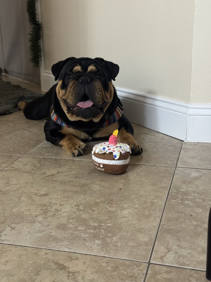 One year birthday for King Waffles