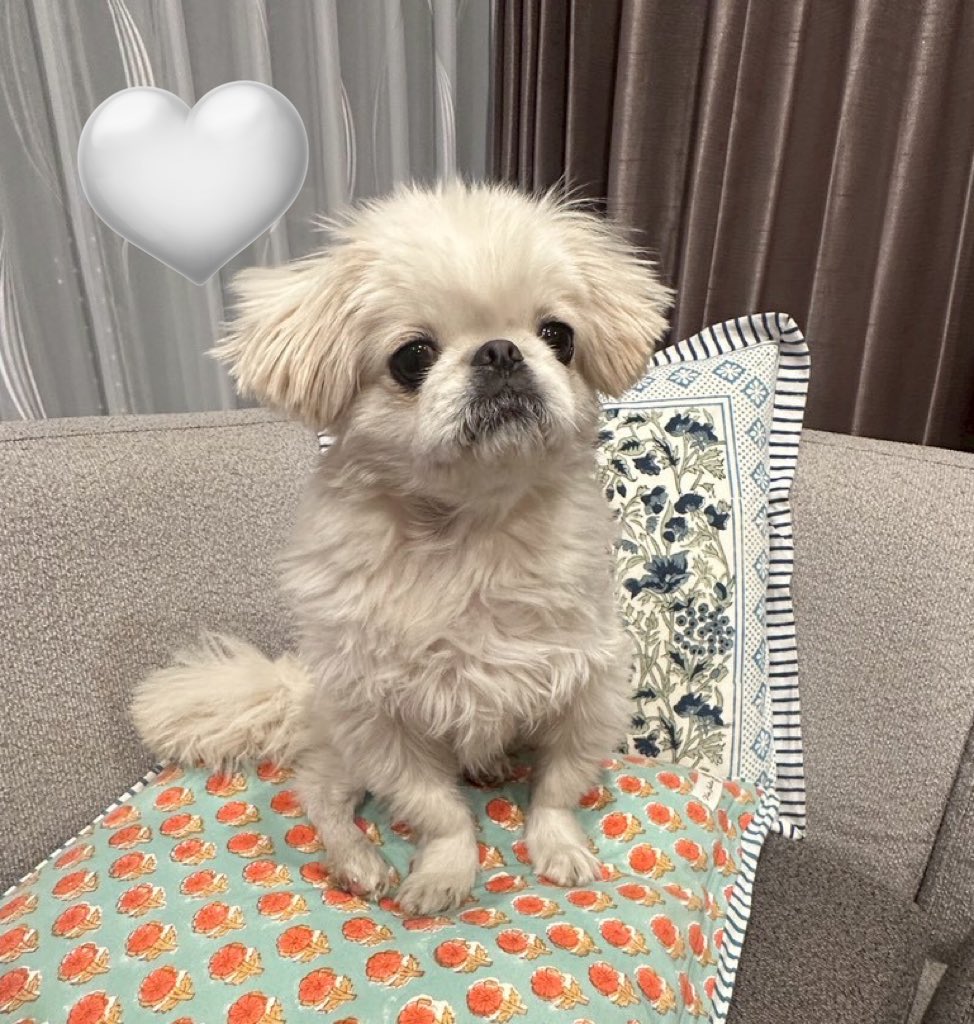 むぎくん (@muuuugi76) / Posts / X