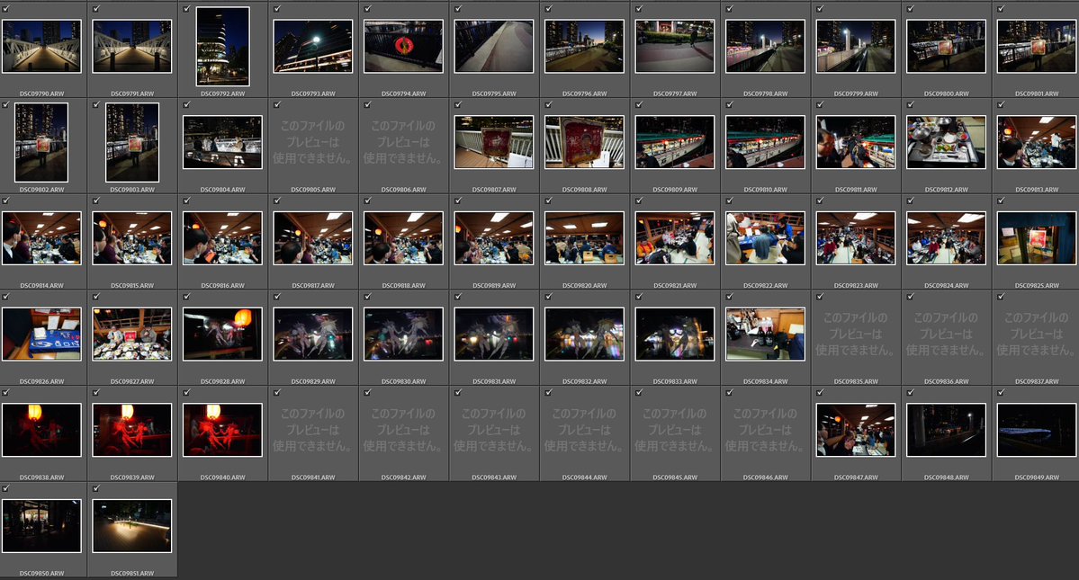 破損確認写真 なんか、α7Ⅳのアプデしたら写真ファイルがぶっ壊れてる時があるんだ