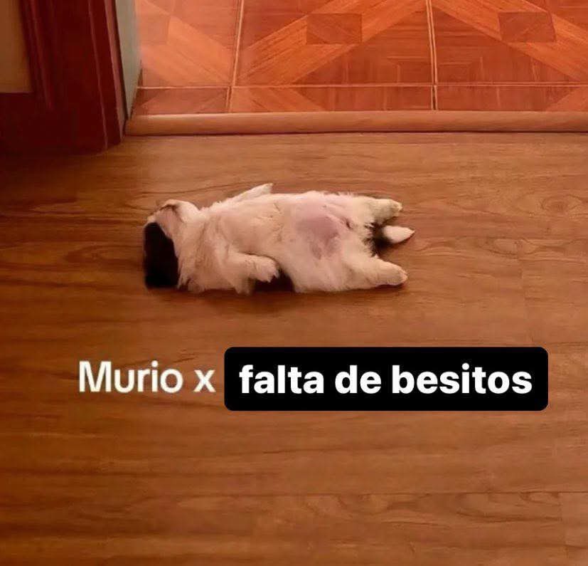 Mood