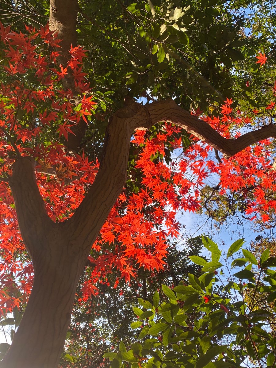 空太郎ページ 空太郎 (@kuukansugoi) / Posts / X