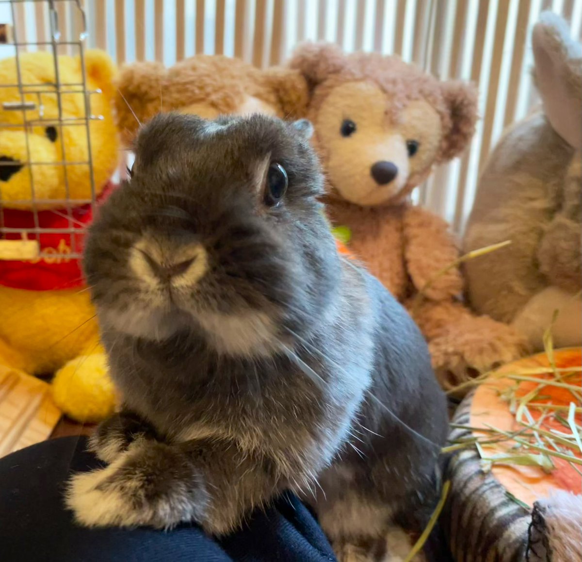 おはようございます☀