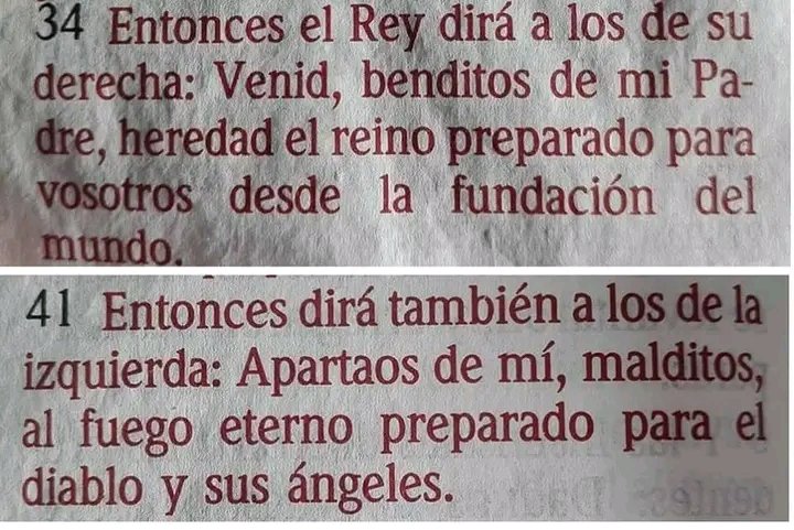 soñadora intrépida tweet media
